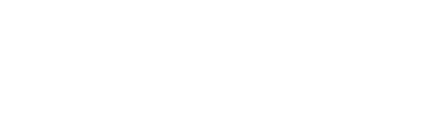 The Palafito
